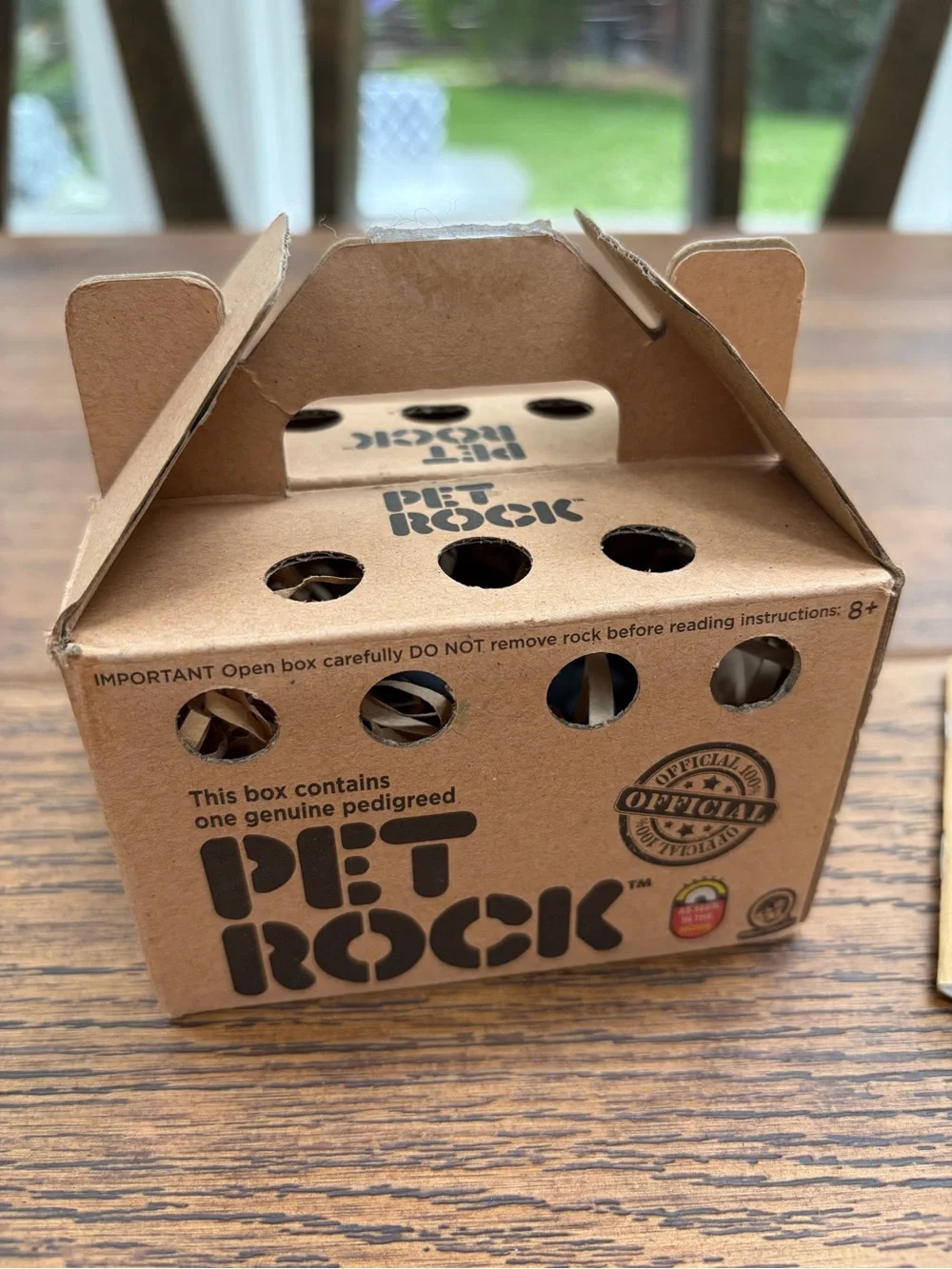 PET ROCK - Picture 1 of 2